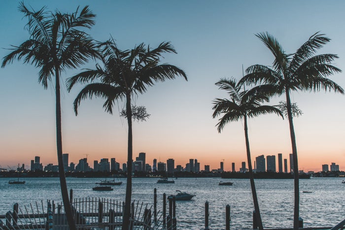 United Adds More Florida Routes for Winter