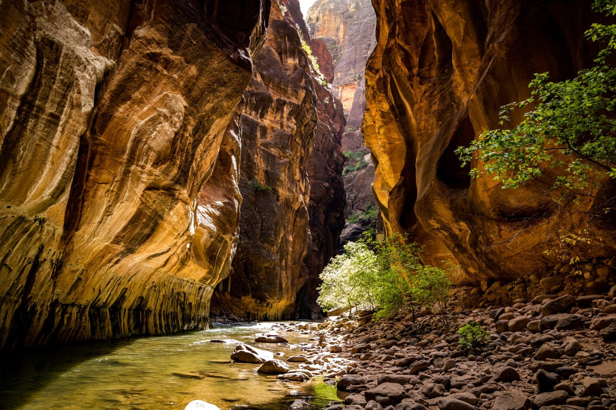 Narrows Zion National Park