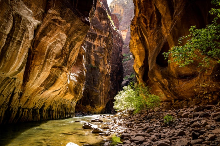 Narrows Zion National Park Narrows Zion National Park