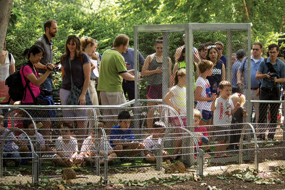 Philadelphia Zoo Meerkat Maze Zoo360