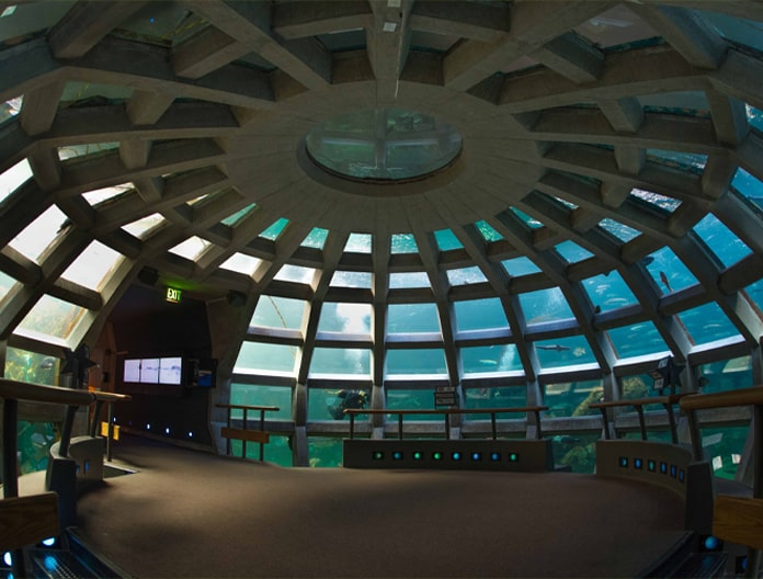 Seattle Aquarium Underwater Dome Seattle Aquarium Underwater Dome