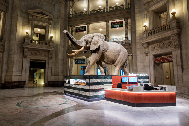 Smithsonian National Museum of Natural History Smithsonian National Museum of Natural History