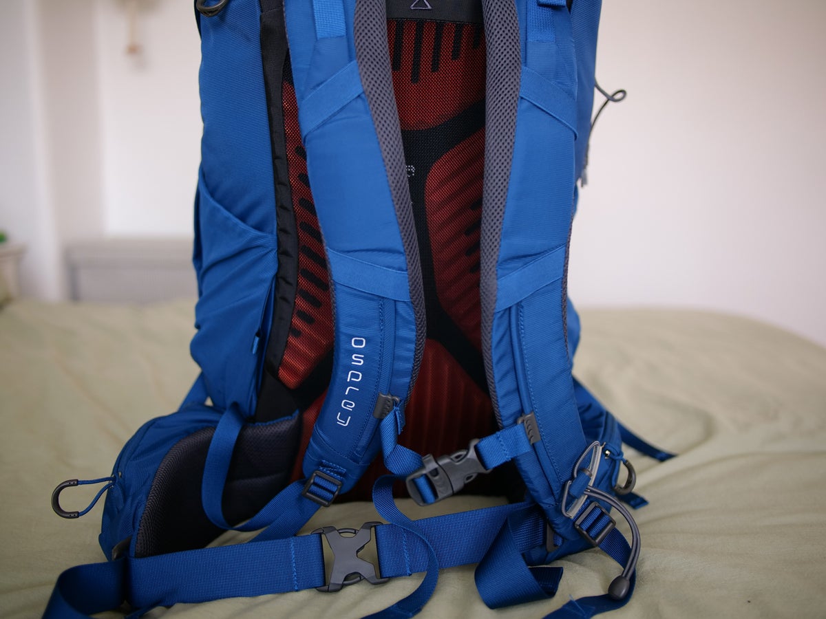 Travel Backpack Straps