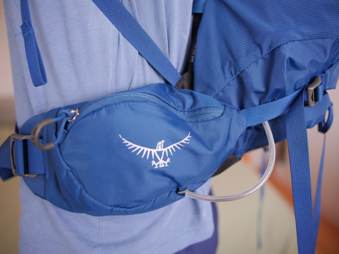 Travel Backpack Waist Pack