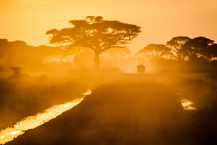 The Best Ways To Fly to Africa With Points and Miles [Step by Step]