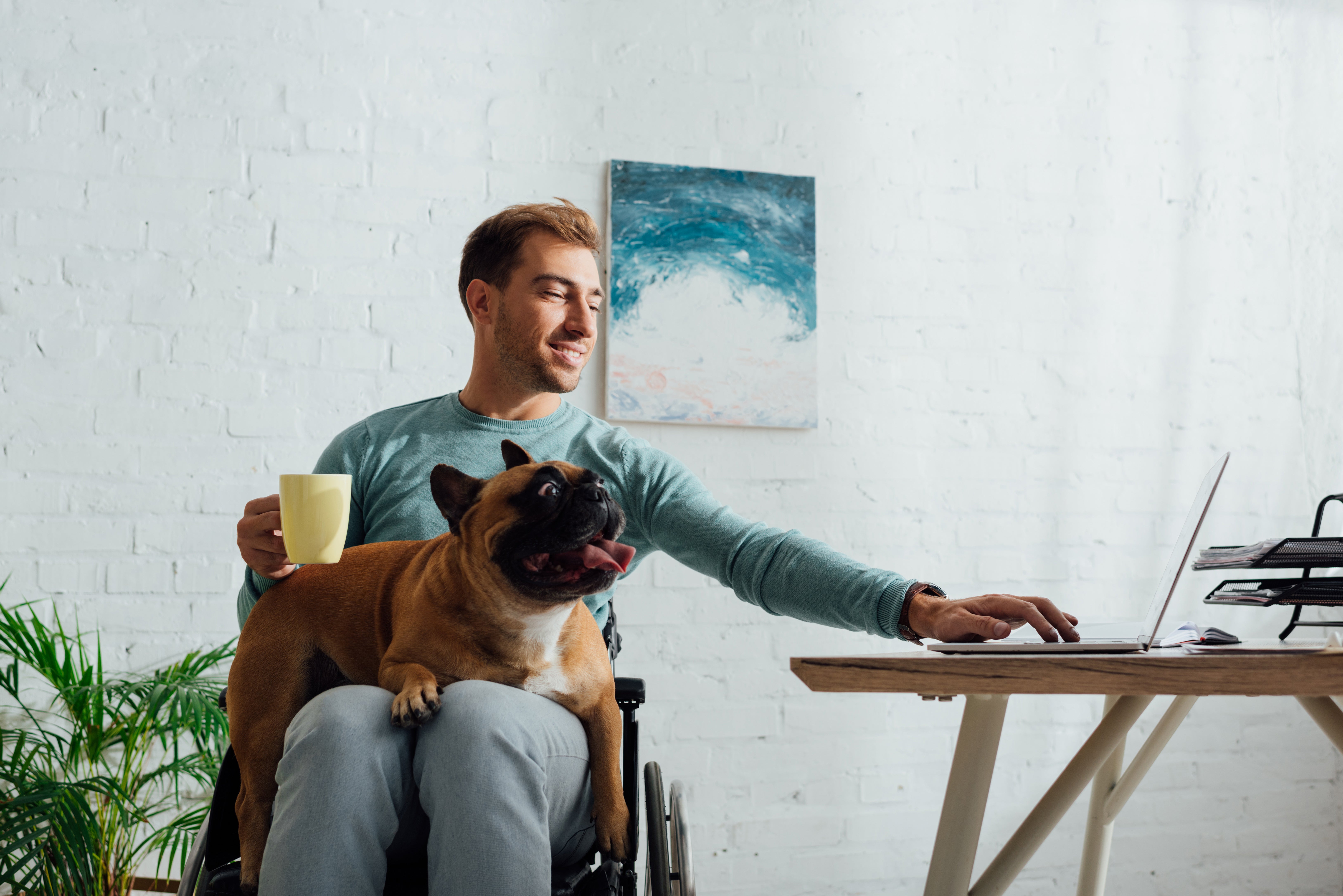 Man in wheelchair with dog on laptop computer