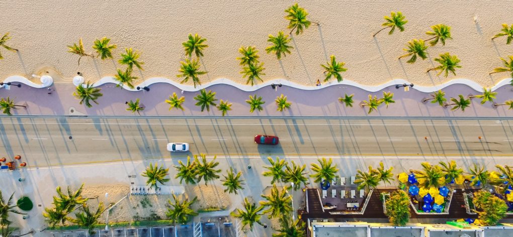 Miami beach with palm trees