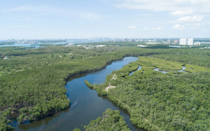 Oleta River State Park Miami Oleta River State Park Miami