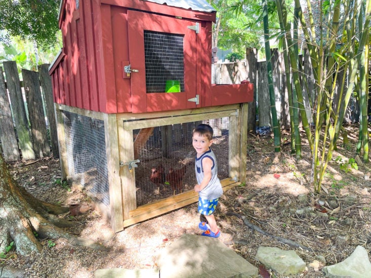 Ritz Carlton Orlando Grande Lakes Ritz Kids Chicken Coop Ritz Carlton Orlando Grande Lakes Ritz Kids Chicken Coop