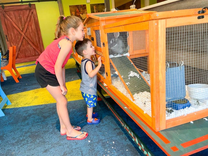 Ritz Carlton Orlando Grande Lakes Ritz Kids Rabbits Ritz Carlton Orlando Grande Lakes Ritz Kids Rabbits