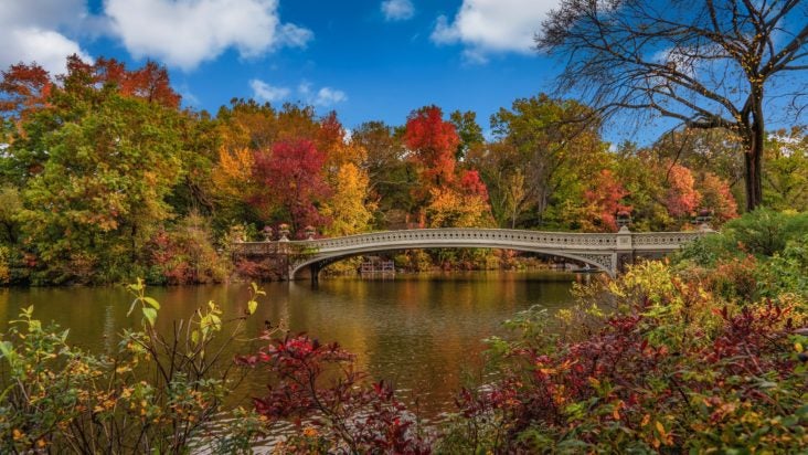Central Park New York City during foliage season Central Park New York City during foliage season