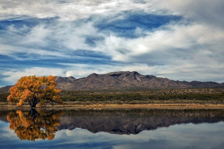 New Mexico during foliage season New Mexico during foliage season