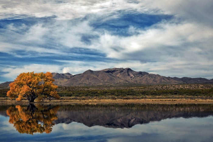 New Mexico during foliage season New Mexico during foliage season