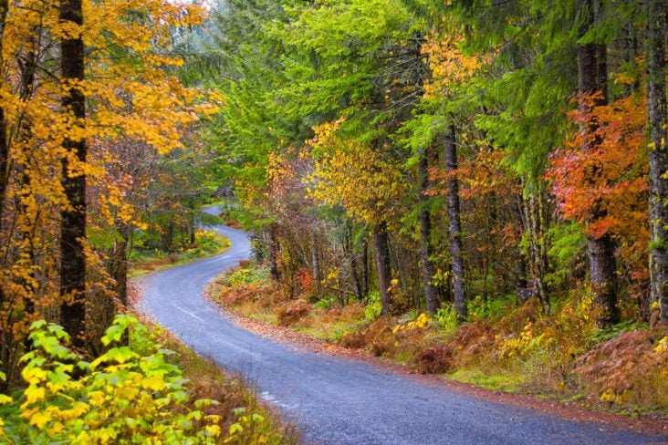 Oregon during foliage season Oregon during foliage season