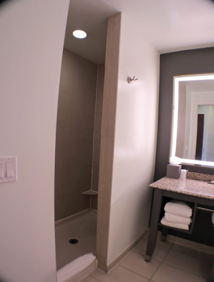 Andaz Savannah stand up shower entrance