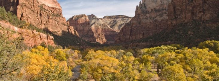 Utah during foliage season Zion Canyon fall colors