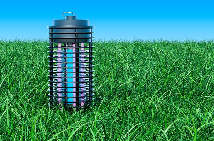 The 10 Best Camping Bug Zappers [2024]