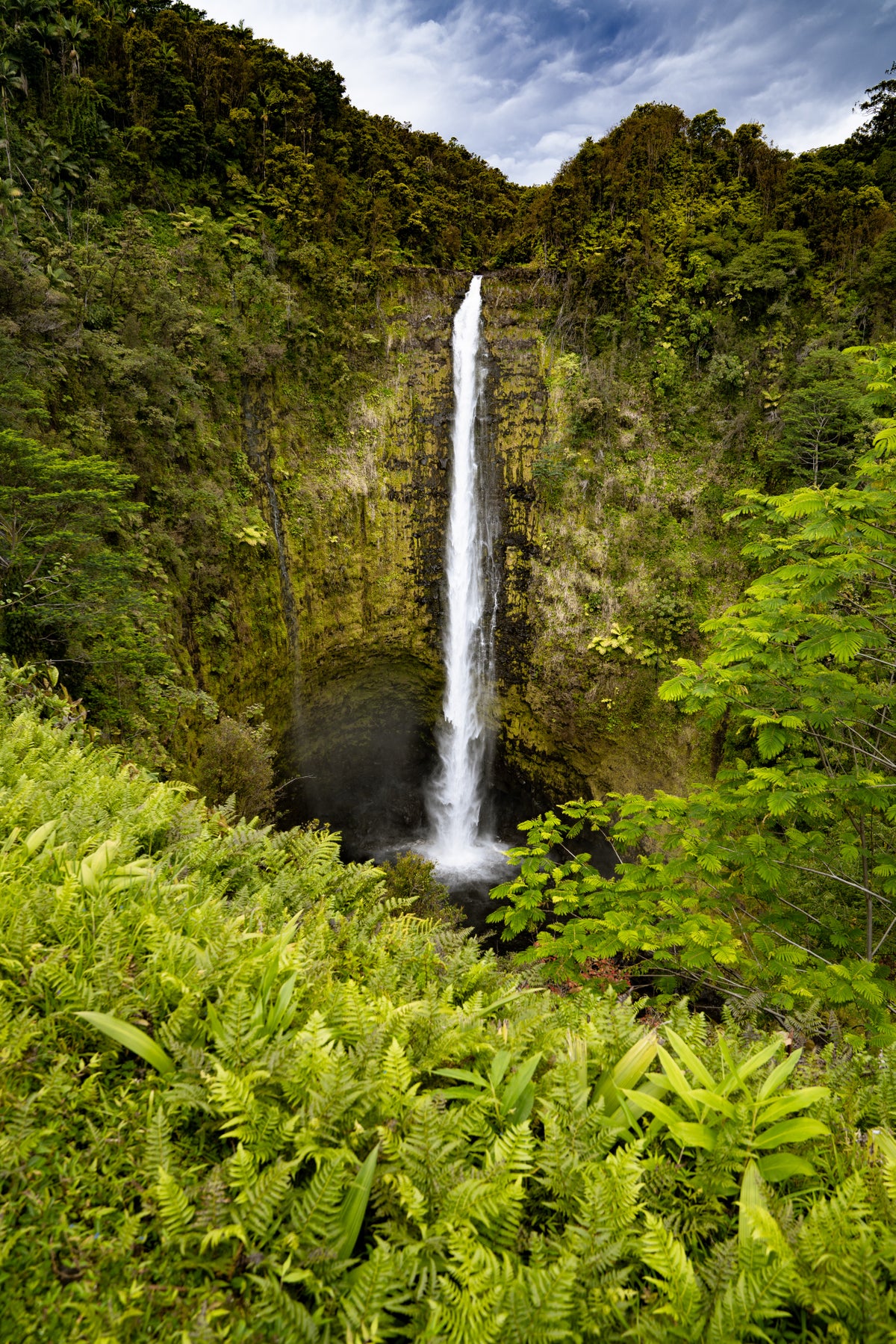 Akaka Falls Big Island Hawaii