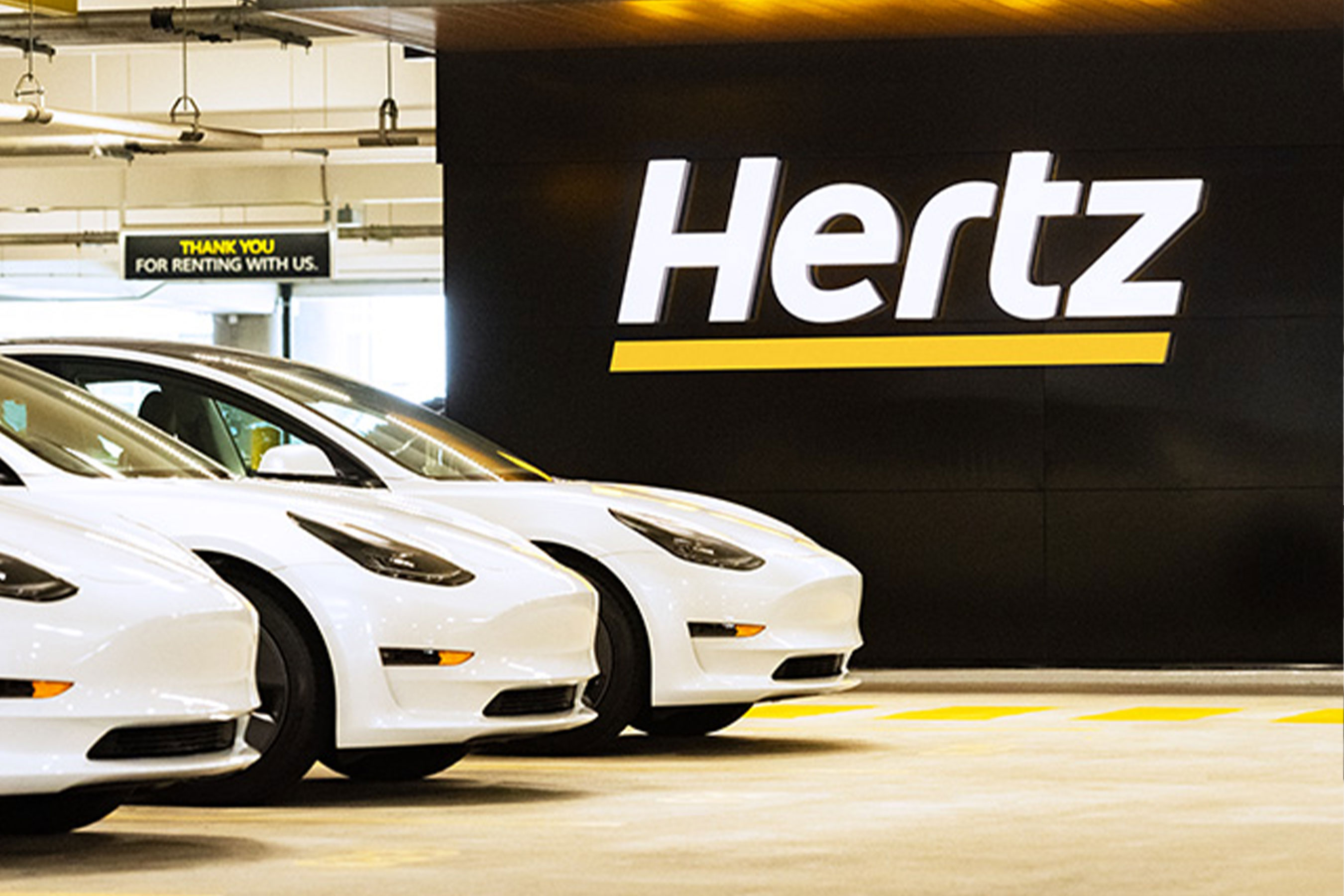 Hertz Tesla Model 3 lineup