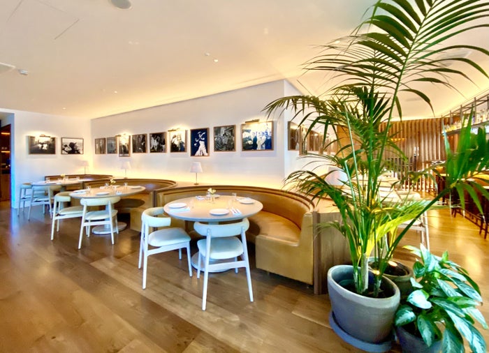 The Barcelona EDITION Bar Veraz