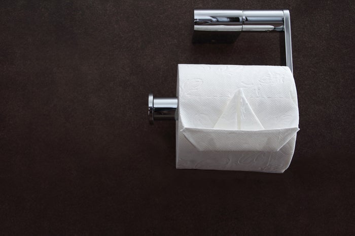 The 7 Best RV Toilet Paper Products [2024]