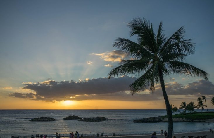 Sunset Oahu Hawaii Palm Trees Beach Sunset Oahu Hawaii Palm Trees Beach