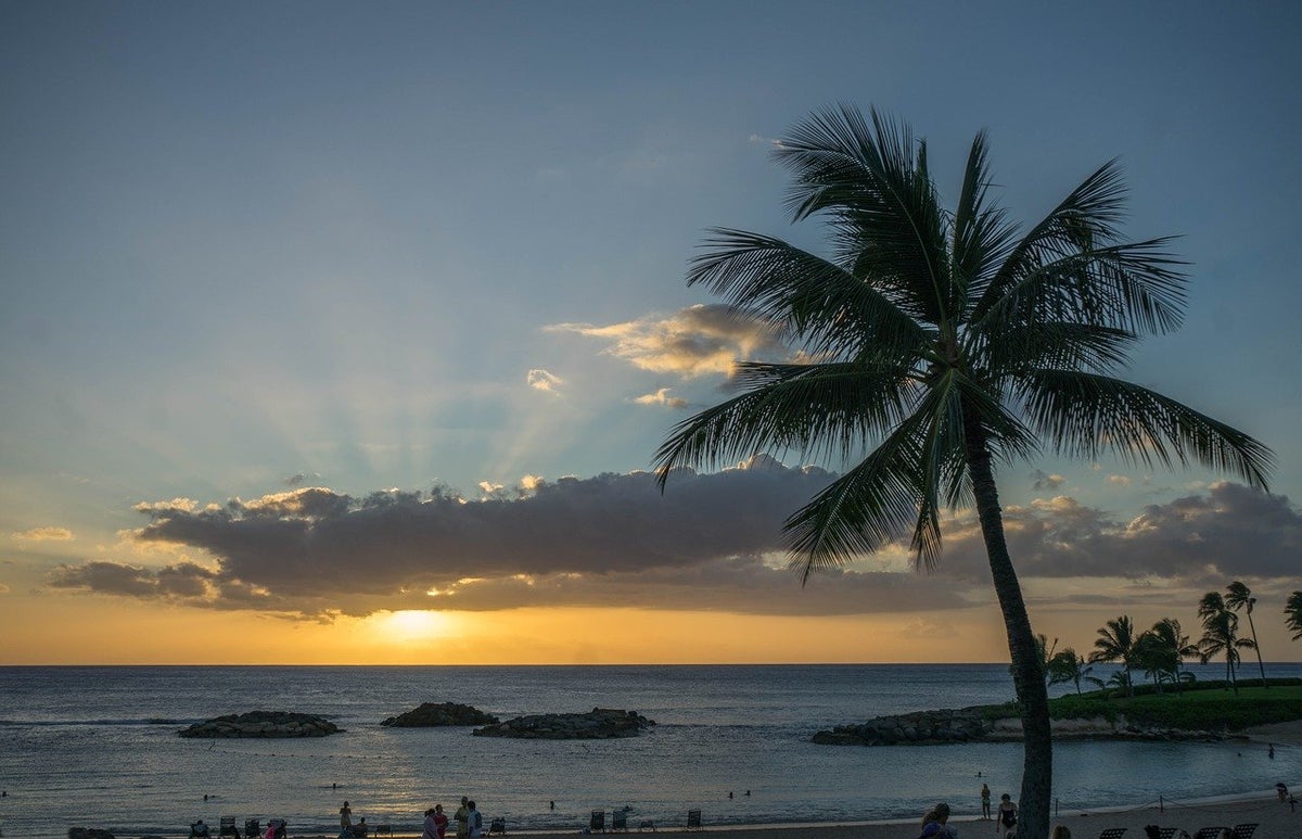 Sunset Oahu Hawaii Palm Trees Beach