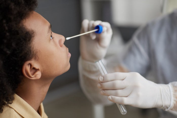 COVID 19 nasal swab test