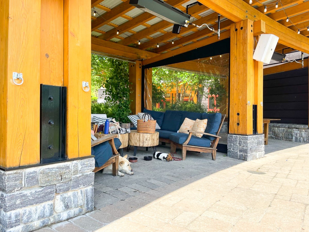 Dogs relaxing at The Lodge at Spruce Peak Destination by Hyatt Stowe Vermont