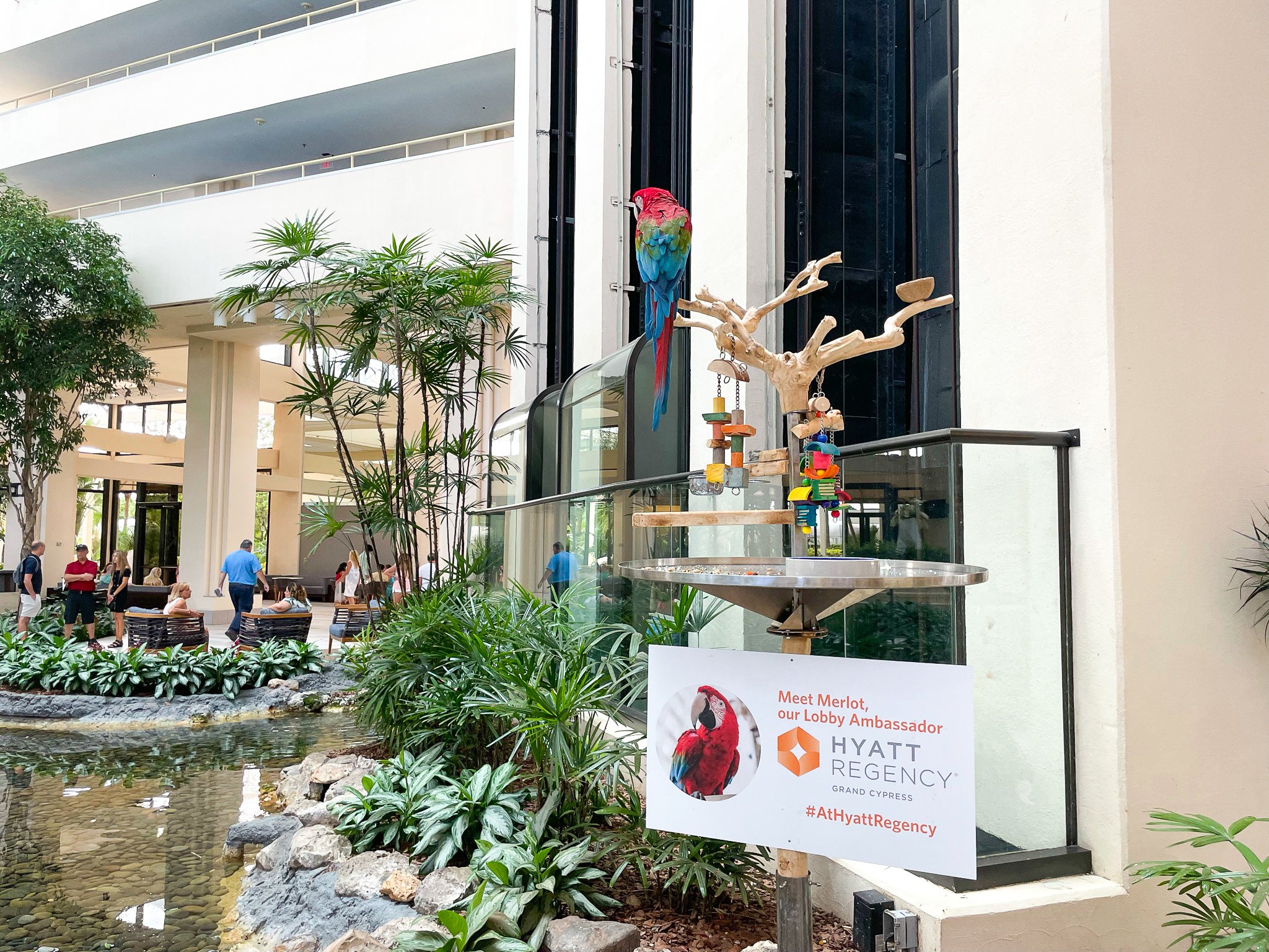 Hyatt Regency Grand Cypress in Orlando [Indepth Review]