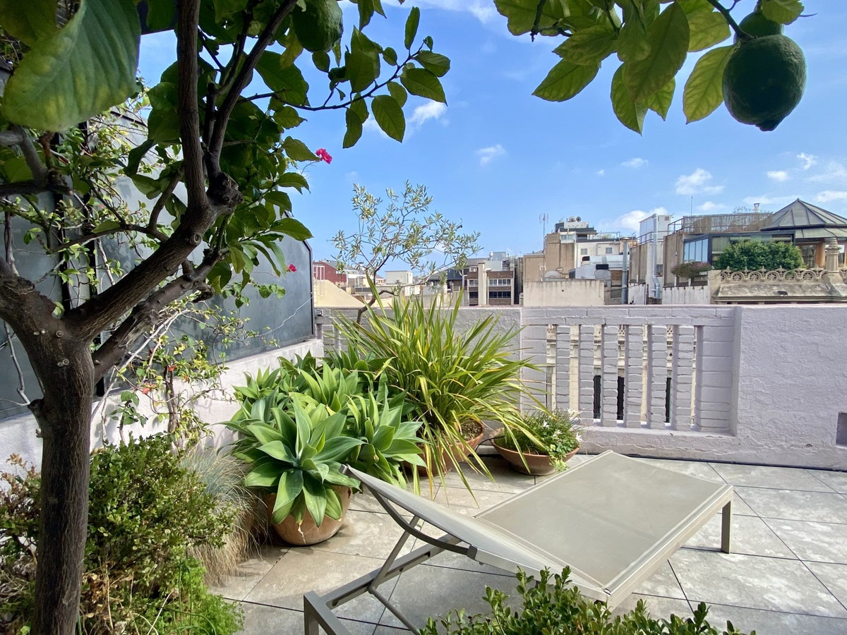 Alexandra Hotel Barcelona Curio Collection by Hilton sunlounger on terrace