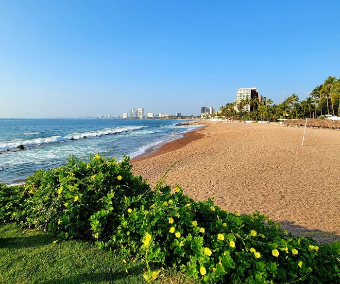 Sheraton Buganvilias Resort Beach