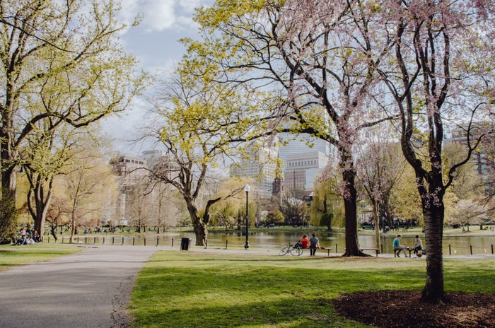 The 11 Best Boutique Hotels in Boston [2025]