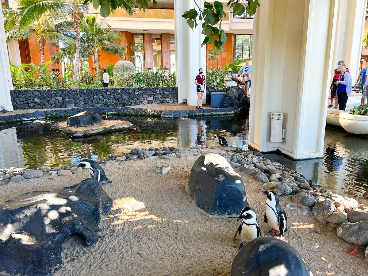 Hyatt Regency Maui Resort and Spa Penguin Presentation
