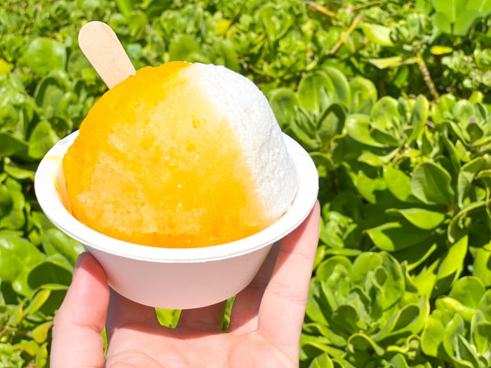 Hyatt Regency Maui Resort and Spa Shave Ice