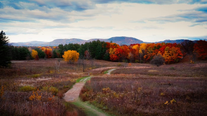 The 12 Best Boutique Hotels in Upstate New York [2025]