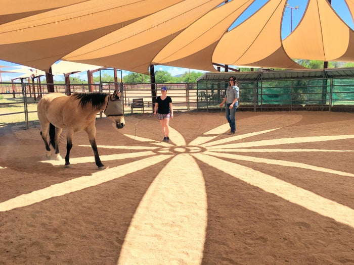 Miraval Equine Experience Miraval Equine Experience