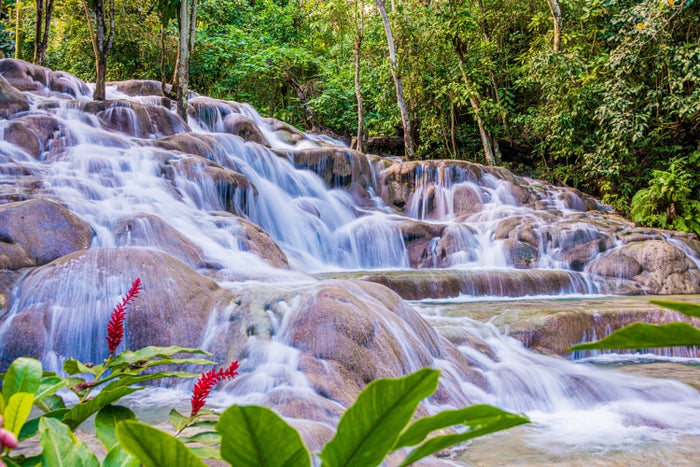 The 12 Best All-inclusive Resorts in Jamaica for Families [2025]