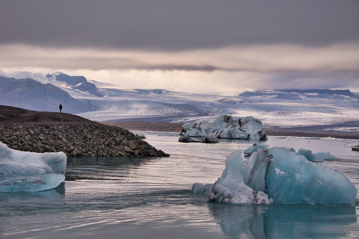 Icebergs in Greenland