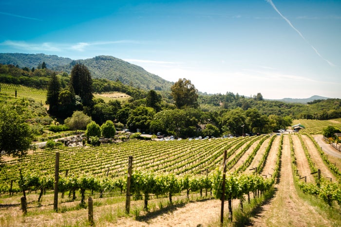 The 11 Best Boutique Hotels in Napa Valley [2025]