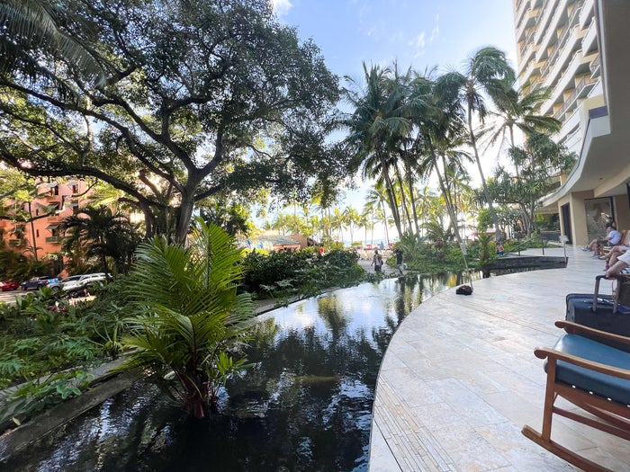 Sheraton Waikiki koi pond