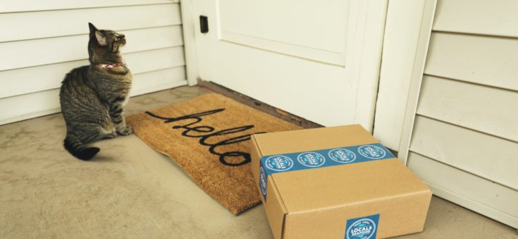 Shipping package at doorstep