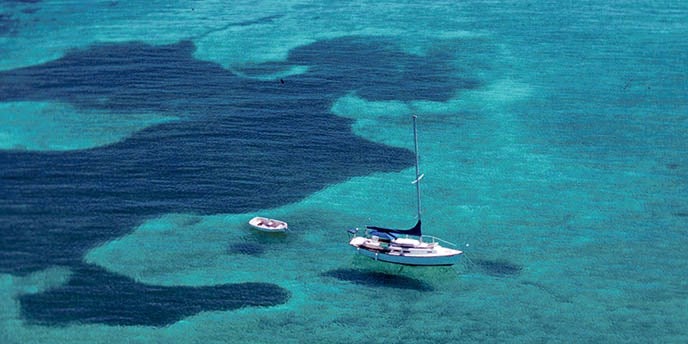 Dry Tortugas private charters