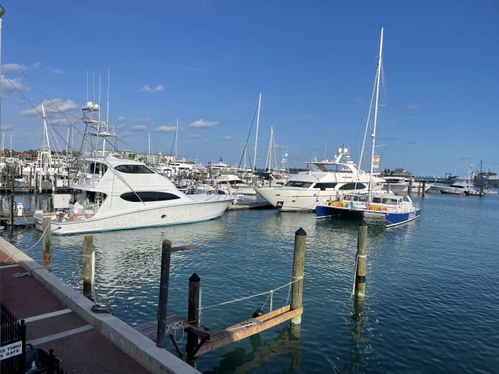 Boats in Key West Bight