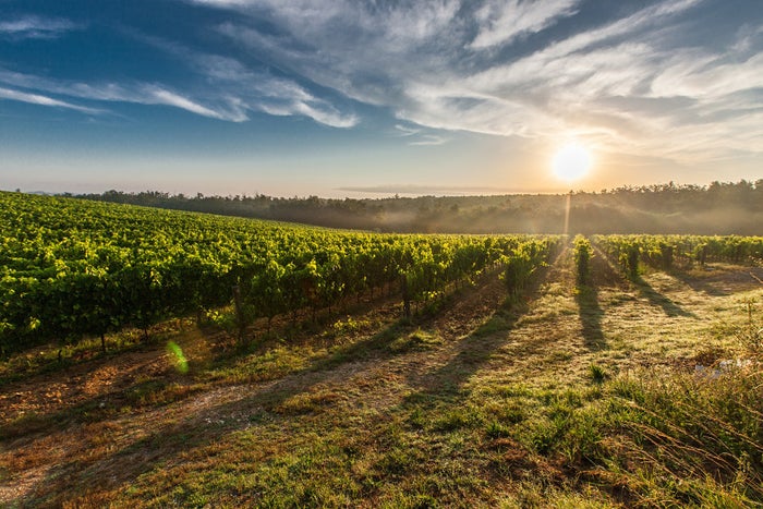 The 10 Best Boutique Hotels in Tuscany, Italy [2025]