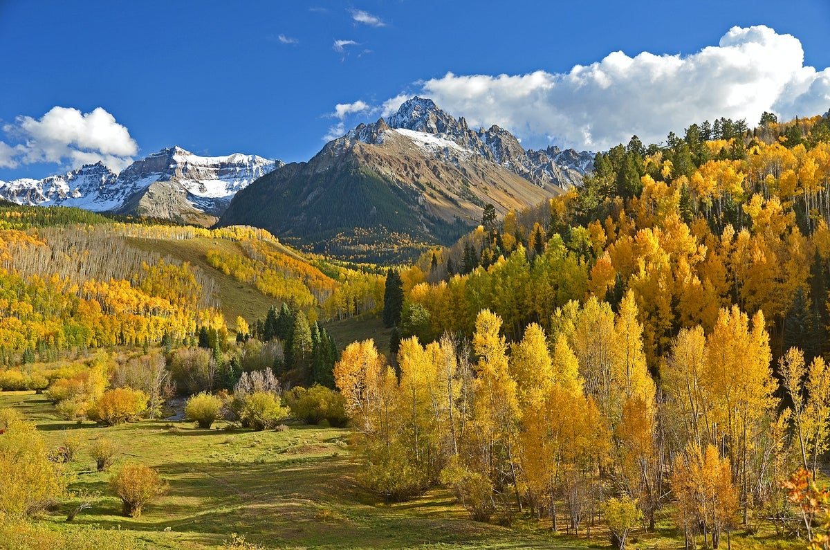 Autumn colors in Colorado