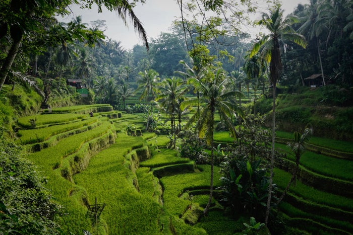 The 11 Best Boutique Hotels in Bali, Indonesia [2025]