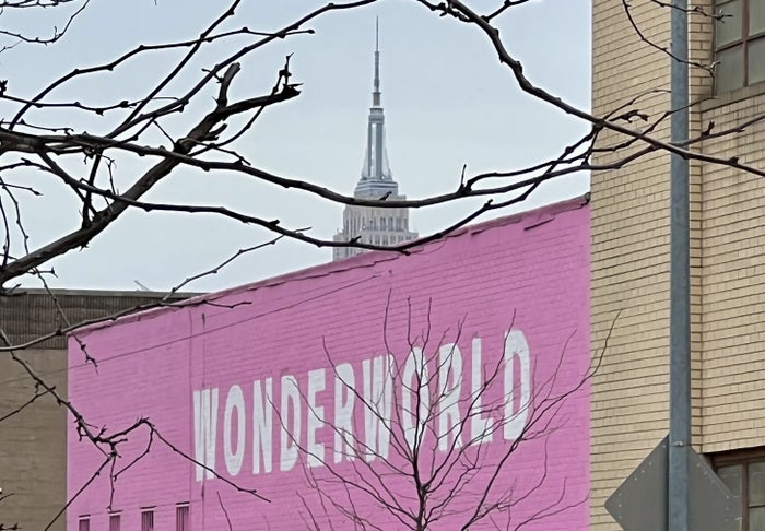The Williamsburg Hotel Empire State view