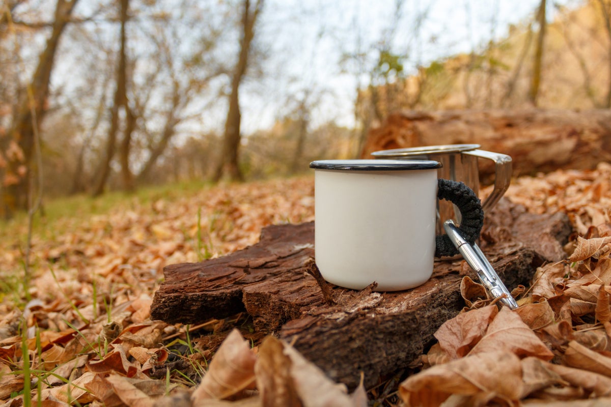 The 10 Best Camping Mugs in 2023 [Steel, Enamel, Titanium, Plastic]