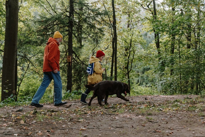 The 16 Best Hiking Jackets for Men and Women [2024]
